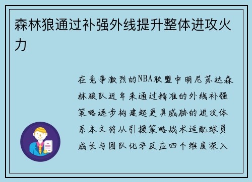 森林狼通过补强外线提升整体进攻火力