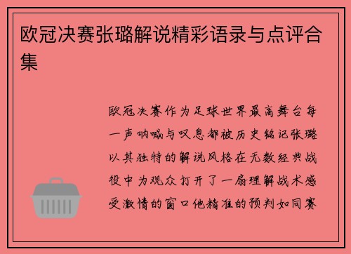 欧冠决赛张璐解说精彩语录与点评合集