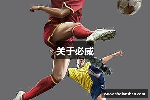 关于必威